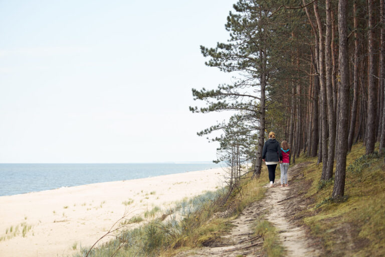 Workation w Sasinie – praca zdalna w rytmie slow